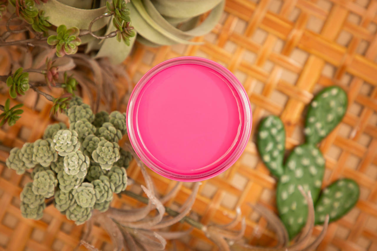 Prickly Pear Silk All-In-One Mineral Paint, 16 Fl Oz